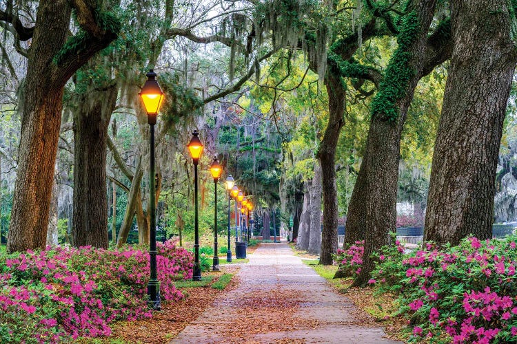 Savannah Alley by Susanne Kremer wall art