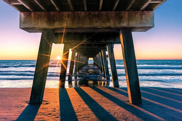 Florida Beaches: Sunrise Star by Susanne Kremer