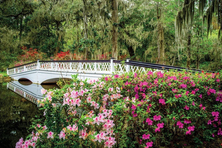 Romantic Garden Charleston