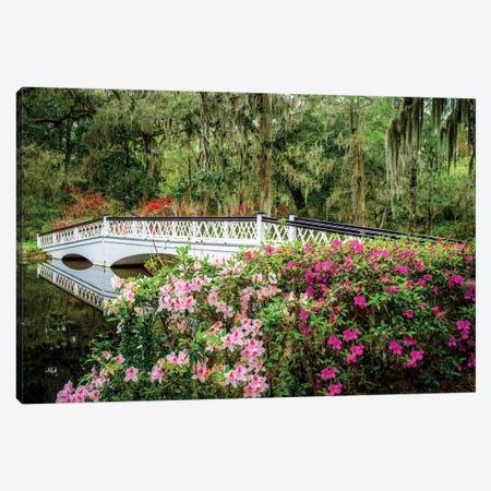 Romantic Garden Charleston Canvas Print #SKR717} by Susanne Kremer Canvas Artwork