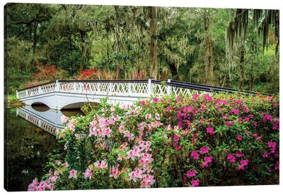 Romantic Garden Charleston Canvas Art Print - South Carolina Art