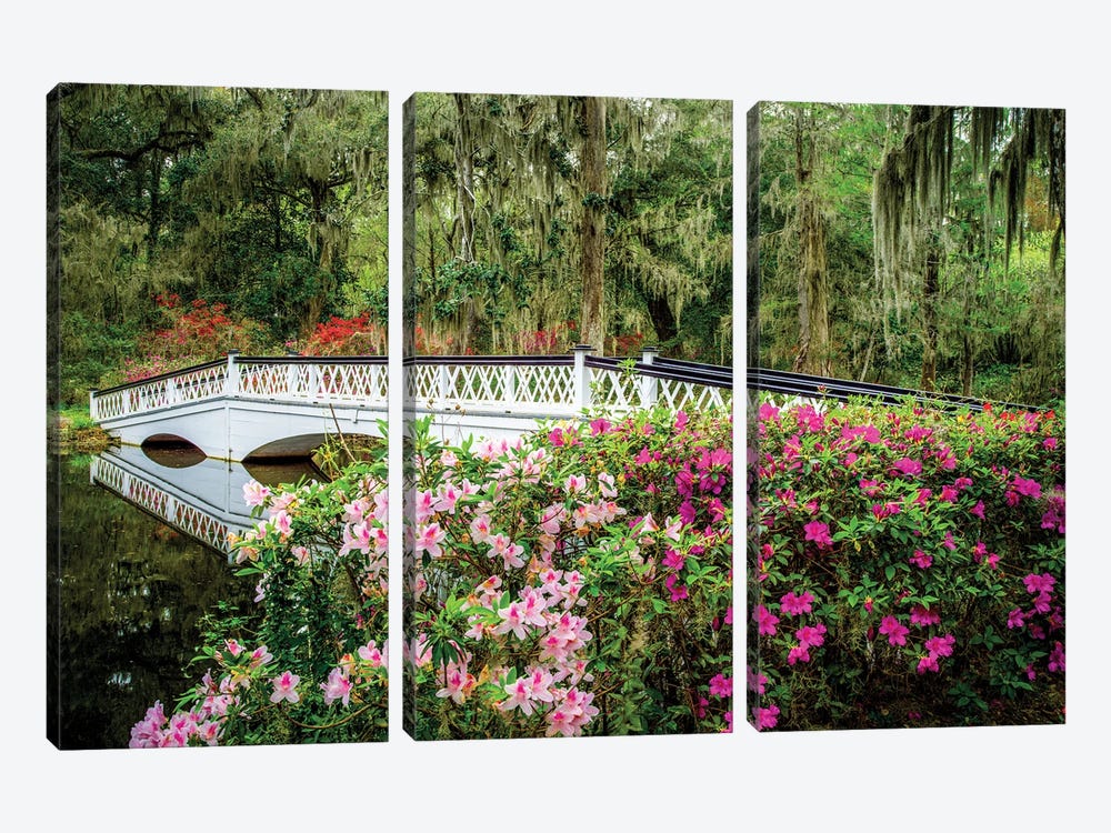 Romantic Garden Charleston by Susanne Kremer 3-piece Canvas Art
