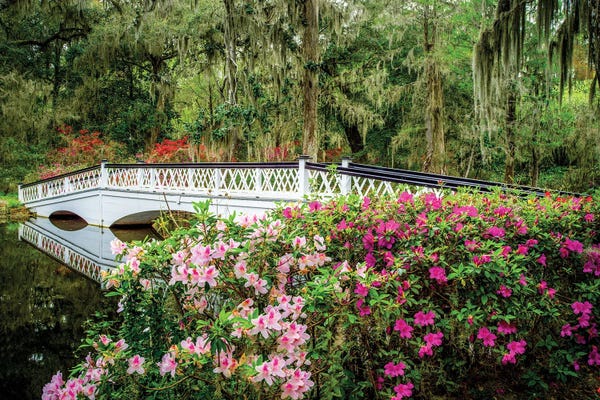 Romantic Garden Charleston