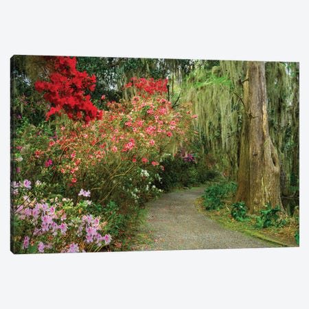 Blooming Spring, South Carolina Canvas Print #SKR718} by Susanne Kremer Art Print