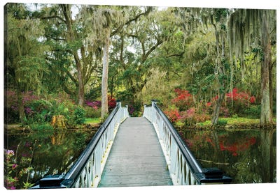 Bridge To The Garden Charleston Canvas Art Print - Charleston