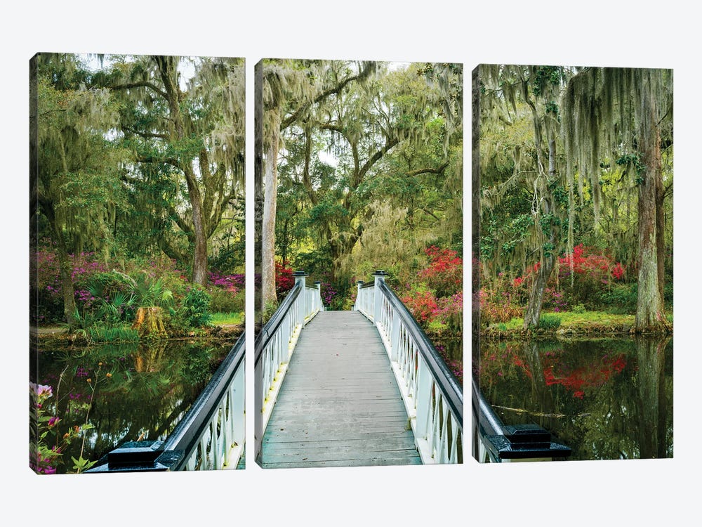 Bridge To The Garden Charleston by Susanne Kremer 3-piece Canvas Print