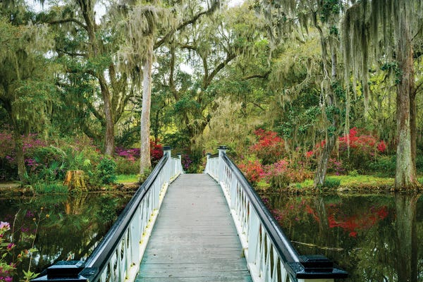South Carolina: Bridge To The Garden Charleston by Susanne Kremer
