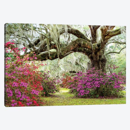 Dreamy Garden In Spring, Charleston Canvas Print #SKR723} by Susanne Kremer Canvas Art