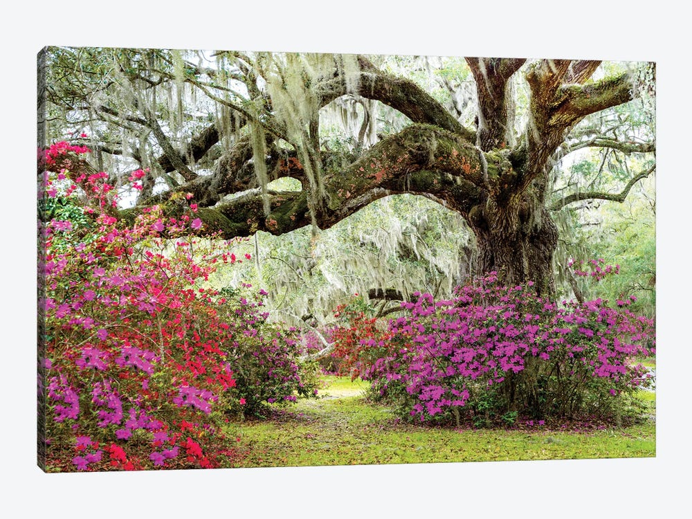 Dreamy Garden In Spring, Charleston by Susanne Kremer 1-piece Canvas Art Print