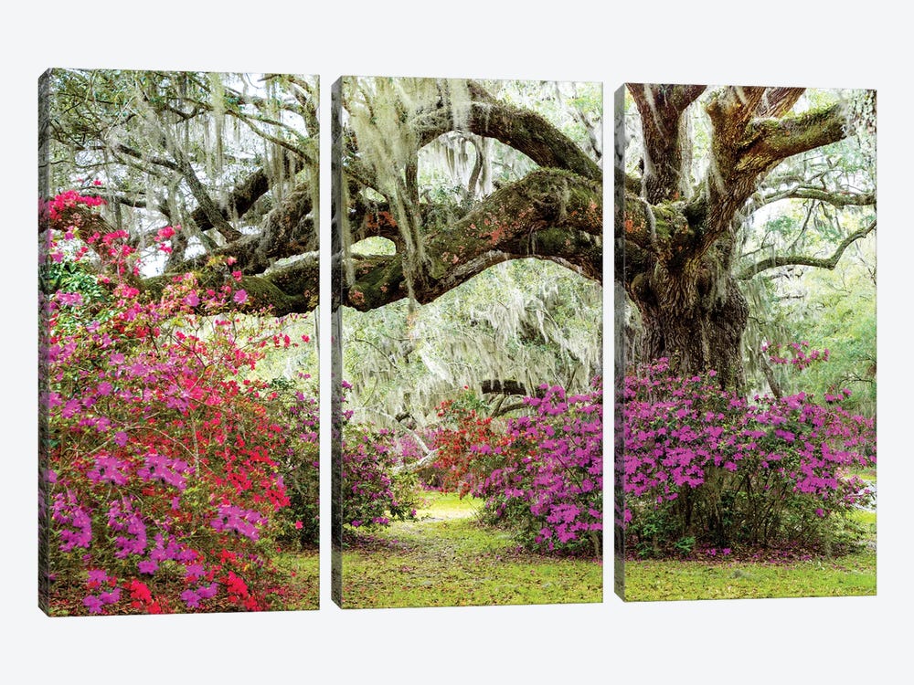 Dreamy Garden In Spring, Charleston by Susanne Kremer 3-piece Art Print