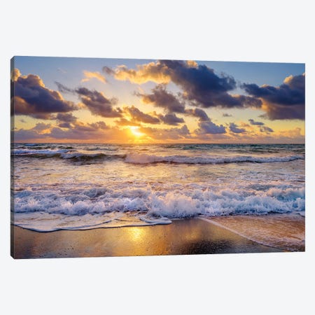 Golden Light At The Beach,Sunrise,Florida Canvas Print #SKR732} by Susanne Kremer Canvas Art Print