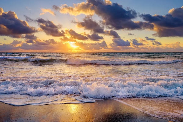 Florida: Golden Light At The Beach,Sunrise,Florida by Susanne Kremer