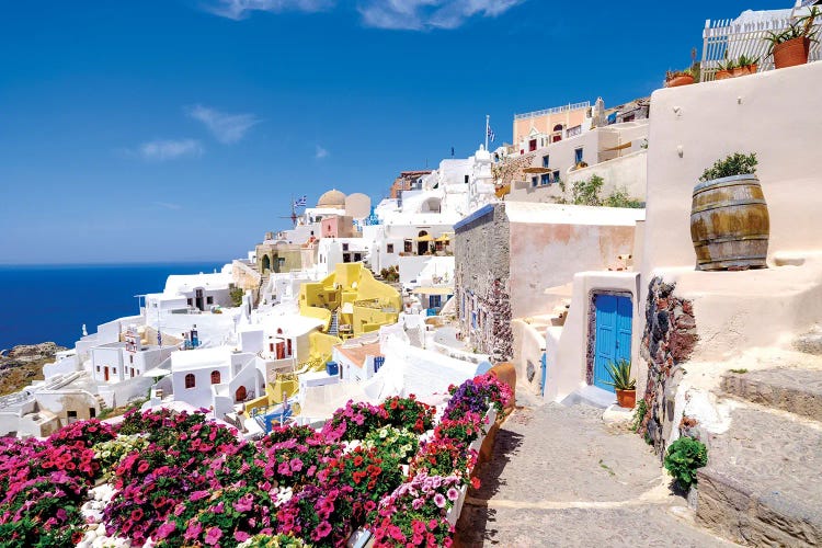 Narrow Street With Flowers In Oia Santorini,Greece