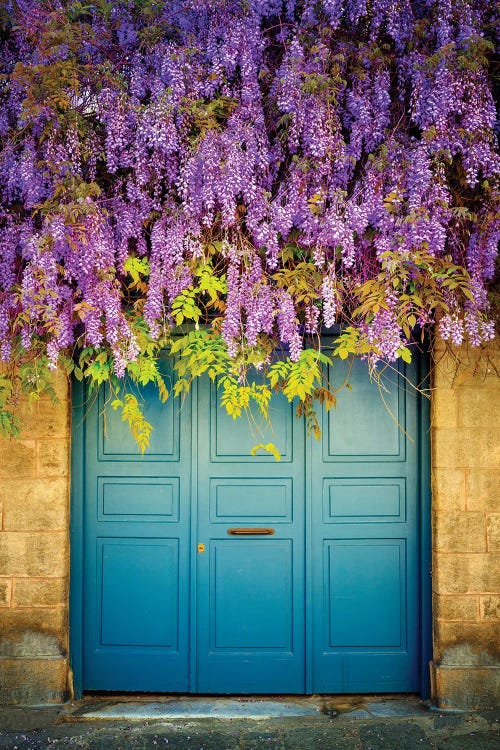 Purple Rain, Athens Greece by Susanne Kremer wall art
