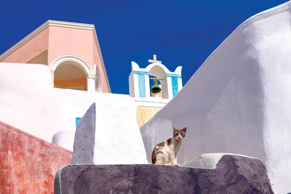 Santorini: Cat On A Wall, Santorini Greece by Susanne Kremer