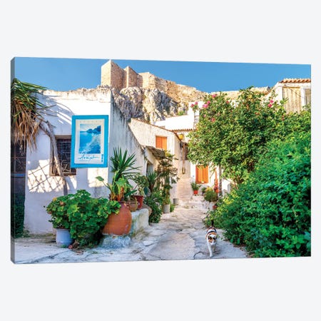 Cat In Picturesque Street Of Athens, Greece Canvas Print #SKR814} by Susanne Kremer Art Print