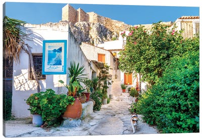 Cat In Picturesque Street Of Athens, Greece Canvas Art Print - Athens Art