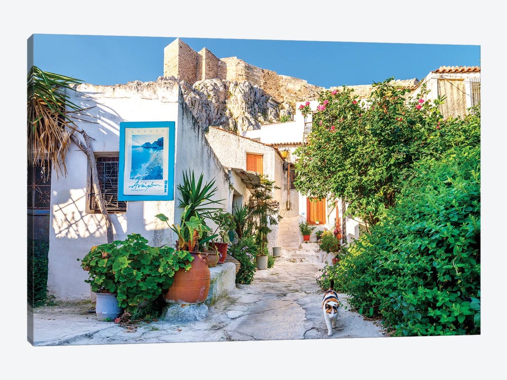 Cat In Picturesque Street Of Athens, Greece by Susanne Kremer 1-piece Canvas Print