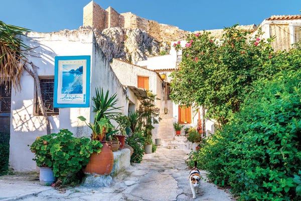 Cat In Picturesque Street Of Athens, Greece