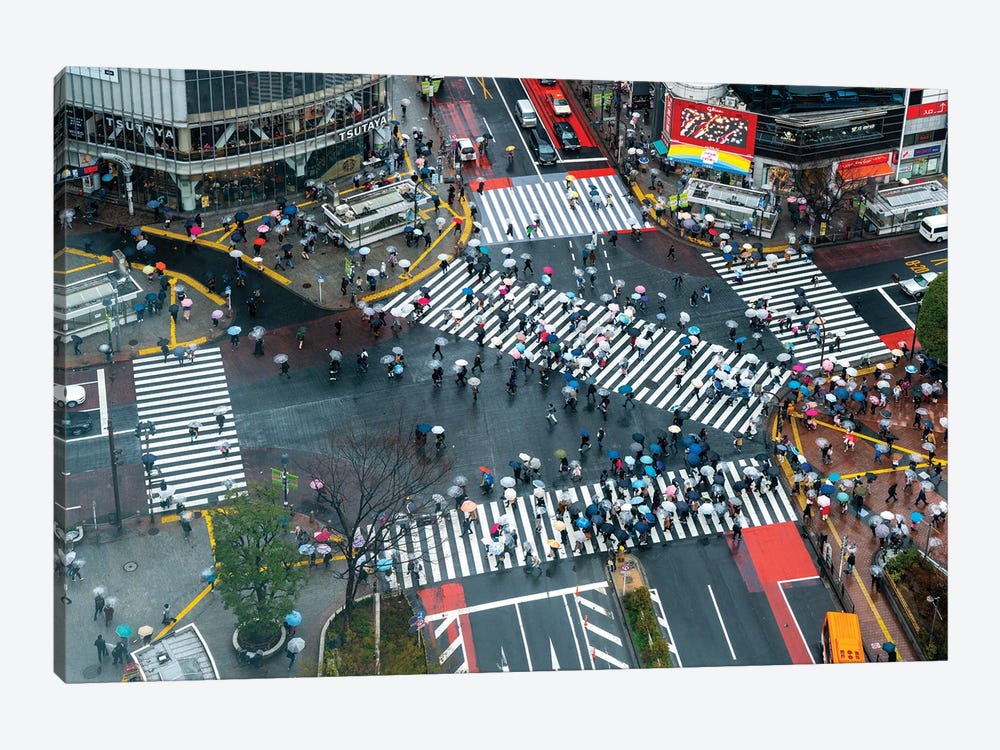 Crossing,Tokyo Japan by Susanne Kremer 1-piece Art Print