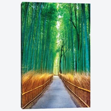 Arashiyama Bamboo Forest, Kyoto, Japan Canvas Print #SKR825} by Susanne Kremer Canvas Wall Art