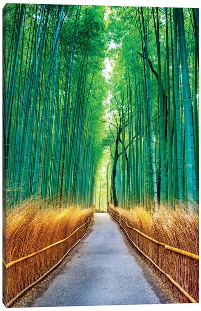 Arashiyama Bamboo Forest, Kyoto, Japan Canvas Art Print - Arashiyama Bamboo Forest