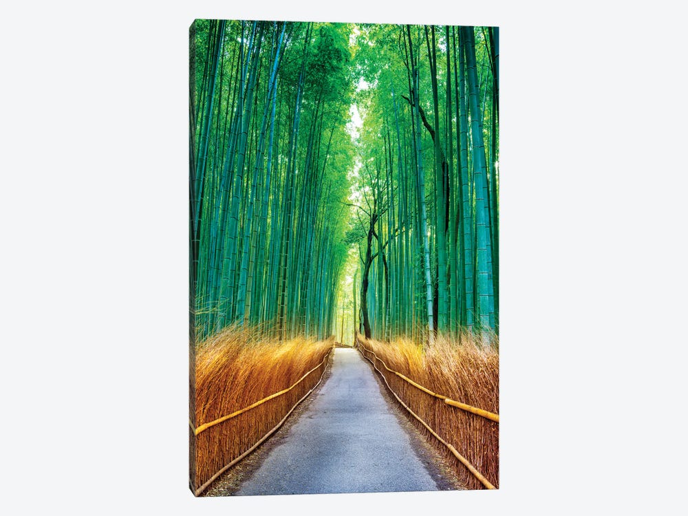 Arashiyama Bamboo Forest, Kyoto, Japan by Susanne Kremer 1-piece Canvas Art Print