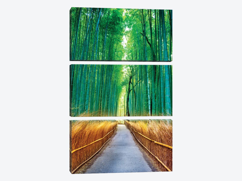 Arashiyama Bamboo Forest, Kyoto, Japan by Susanne Kremer 3-piece Art Print
