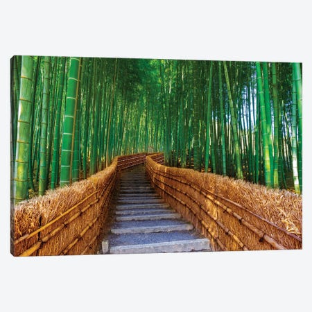 Relaxing Bamboo Grove, Kyoto,Japan Canvas Print #SKR827} by Susanne Kremer Canvas Art