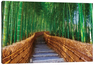 Relaxing Bamboo Grove, Kyoto,Japan Canvas Art Print - Wonders of the World