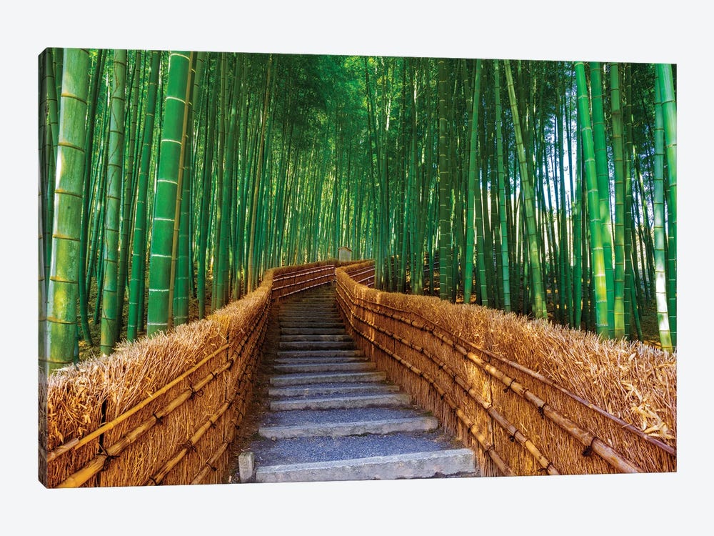 Relaxing Bamboo Grove, Kyoto,Japan by Susanne Kremer 1-piece Canvas Print