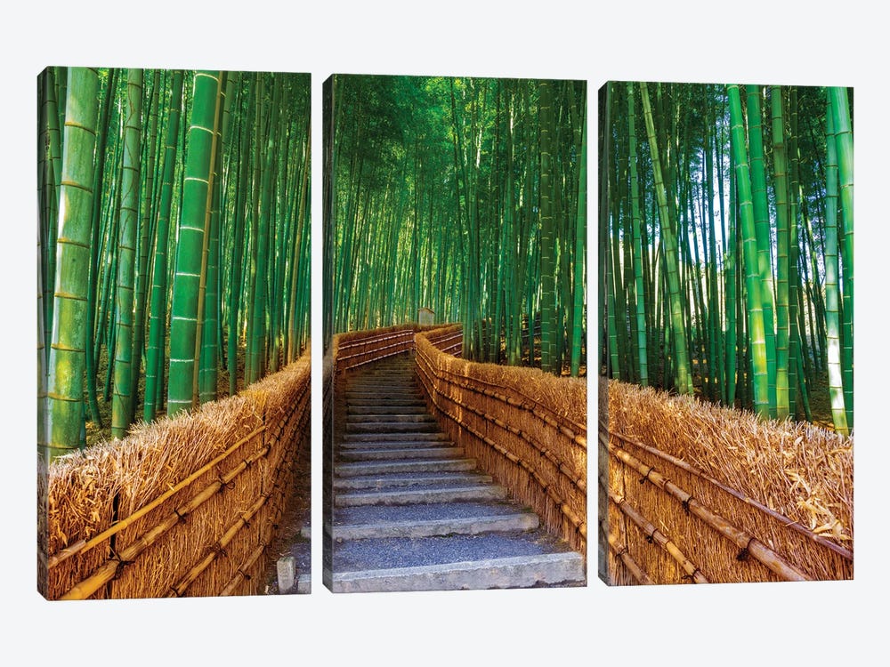 Relaxing Bamboo Grove, Kyoto,Japan by Susanne Kremer 3-piece Canvas Art Print