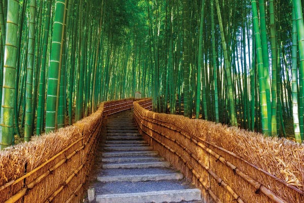 Wonders Of The World: Relaxing Bamboo Grove, Kyoto,Japan by Susanne Kremer