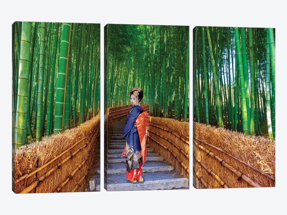 Bamboo Forest With Geisha Kyoto Japan by Susanne Kremer 3-piece Canvas Wall Art