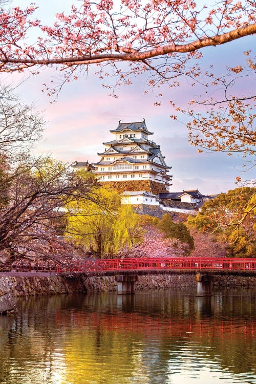 Himeji Castle And Cherryblossoms Hyogo Japan