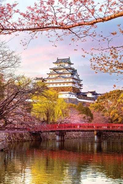 Japan: Himeji Castle And Cherryblossoms Hyogo Japan by Susanne Kremer
