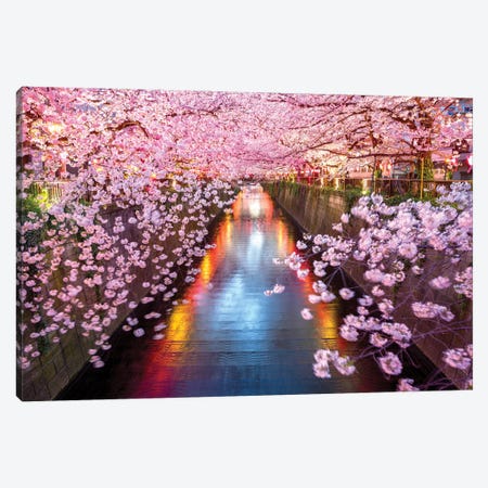 Cherry Blossom Sakura Tokyo Japan Canvas Print #SKR830} by Susanne Kremer Canvas Wall Art