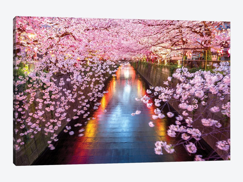 Cherry Blossom Sakura Tokyo Japan by Susanne Kremer 1-piece Art Print