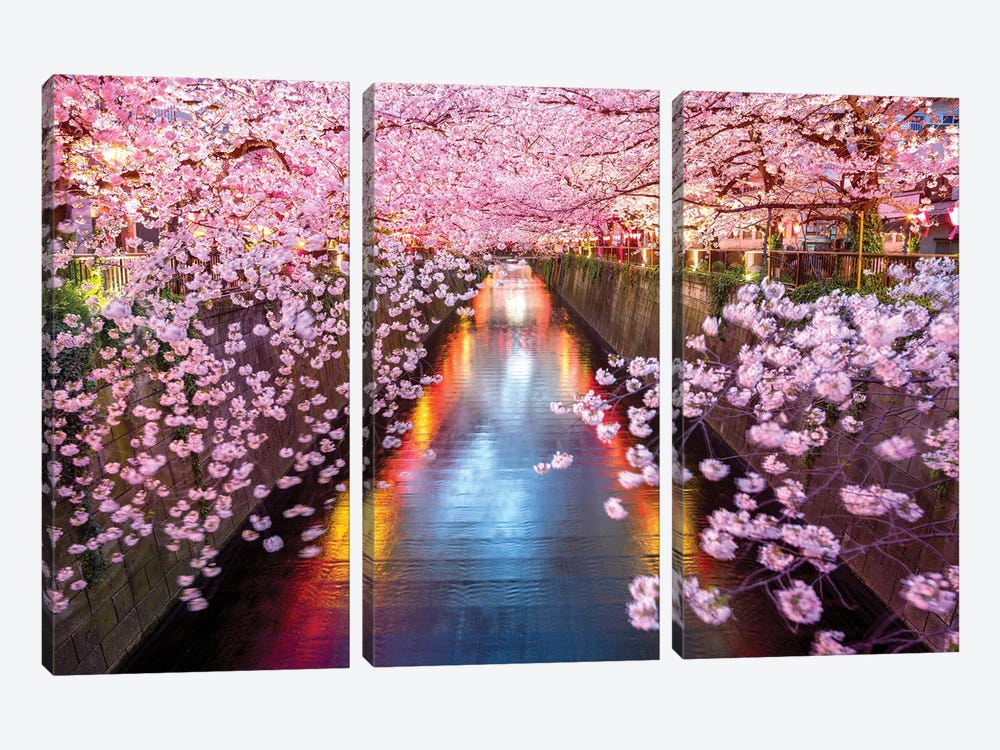 Cherry Blossom Sakura Tokyo Japan by Susanne Kremer 3-piece Canvas Art Print