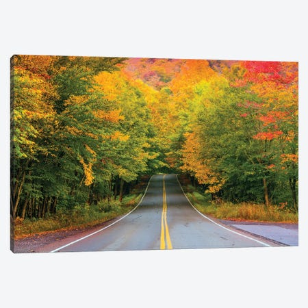 Autumn Road,New England Canvas Print #SKR834} by Susanne Kremer Canvas Art Print