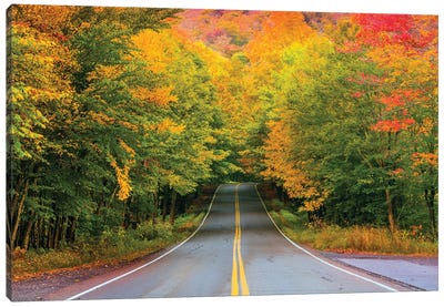 Autumn Road,New England Canvas Art Print - Maine Art