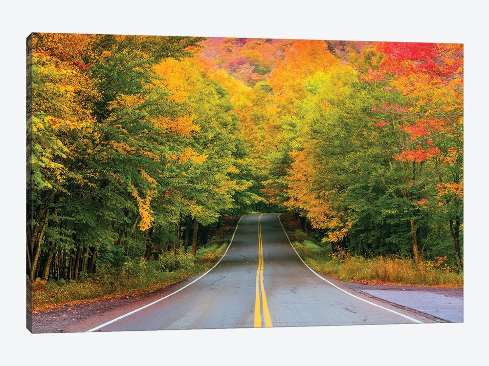 Autumn Road,New England by Susanne Kremer 1-piece Canvas Art Print