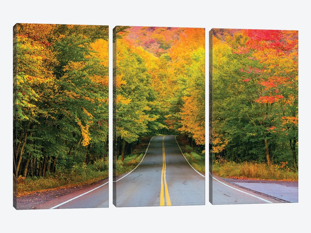 Autumn Road,New England by Susanne Kremer 3-piece Canvas Art Print