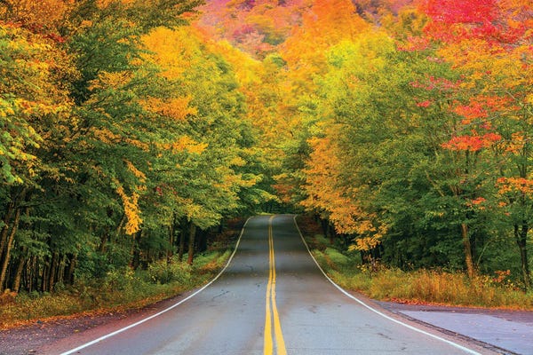 Maine: Autumn Road,New England by Susanne Kremer