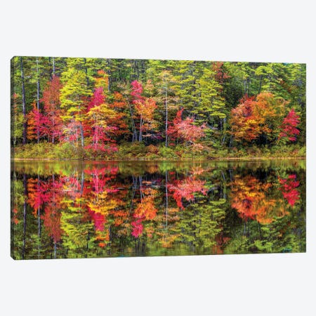 Colorful Trees And Reflection In Autumn,New England Canvas Print #SKR838} by Susanne Kremer Canvas Art