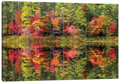 Colorful Trees And Reflection In Autumn,New England Canvas Art Print - Maine Art