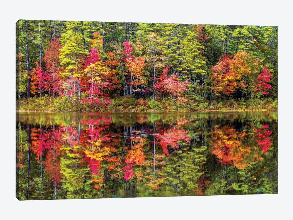 Colorful Trees And Reflection In Autumn,New England by Susanne Kremer 1-piece Canvas Art Print