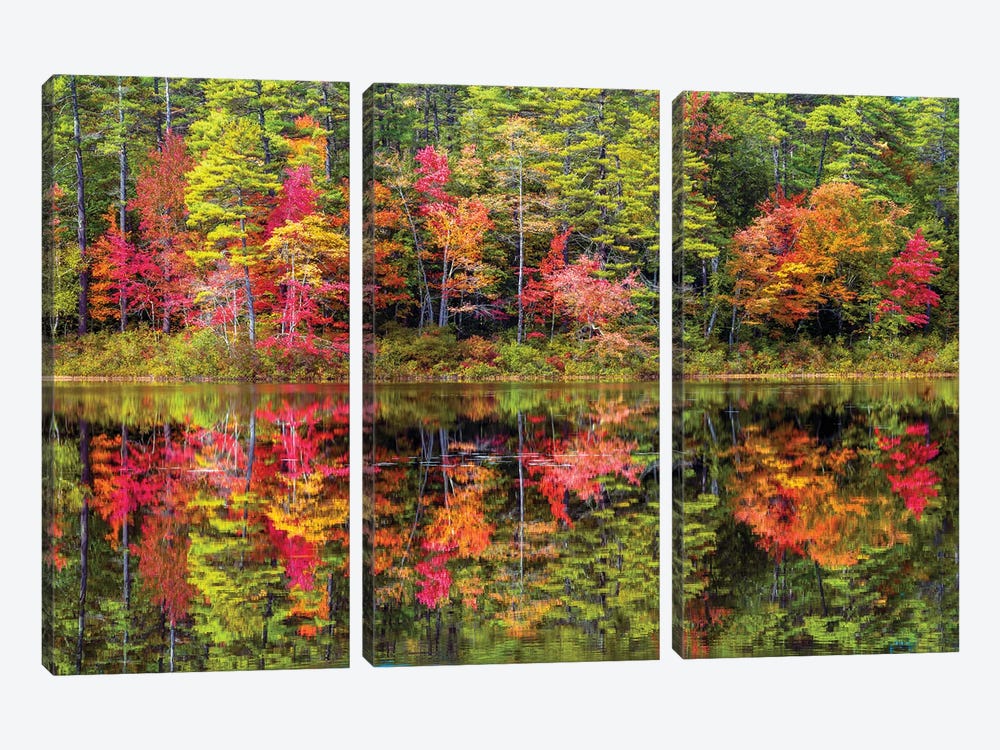 Colorful Trees And Reflection In Autumn,New England by Susanne Kremer 3-piece Canvas Art Print