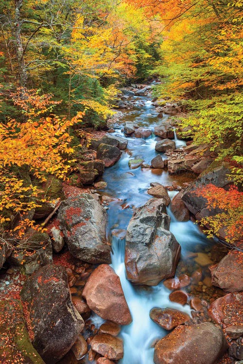 Relaxing Slow River Scene In Autumn,New England