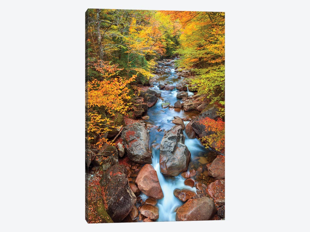 Relaxing Slow River Scene In Autumn,New England by Susanne Kremer 1-piece Canvas Art
